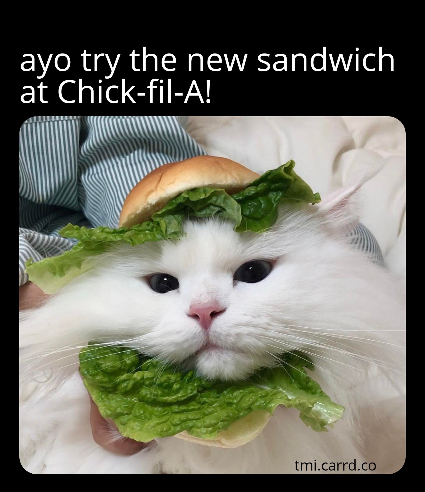 Ownmates Post